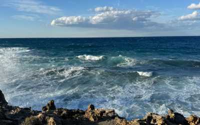 Wycieczka z Limassol do wąwozu Avakas Kanyon Mini Marathon